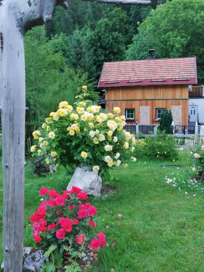 Georges Rast Villa Altaussee Buitenkant foto