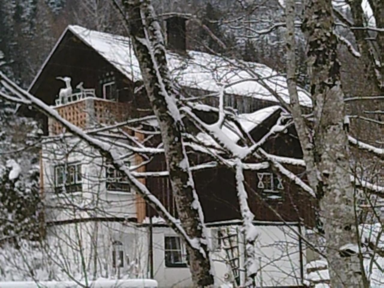 Georges Rast Villa Altaussee Buitenkant foto