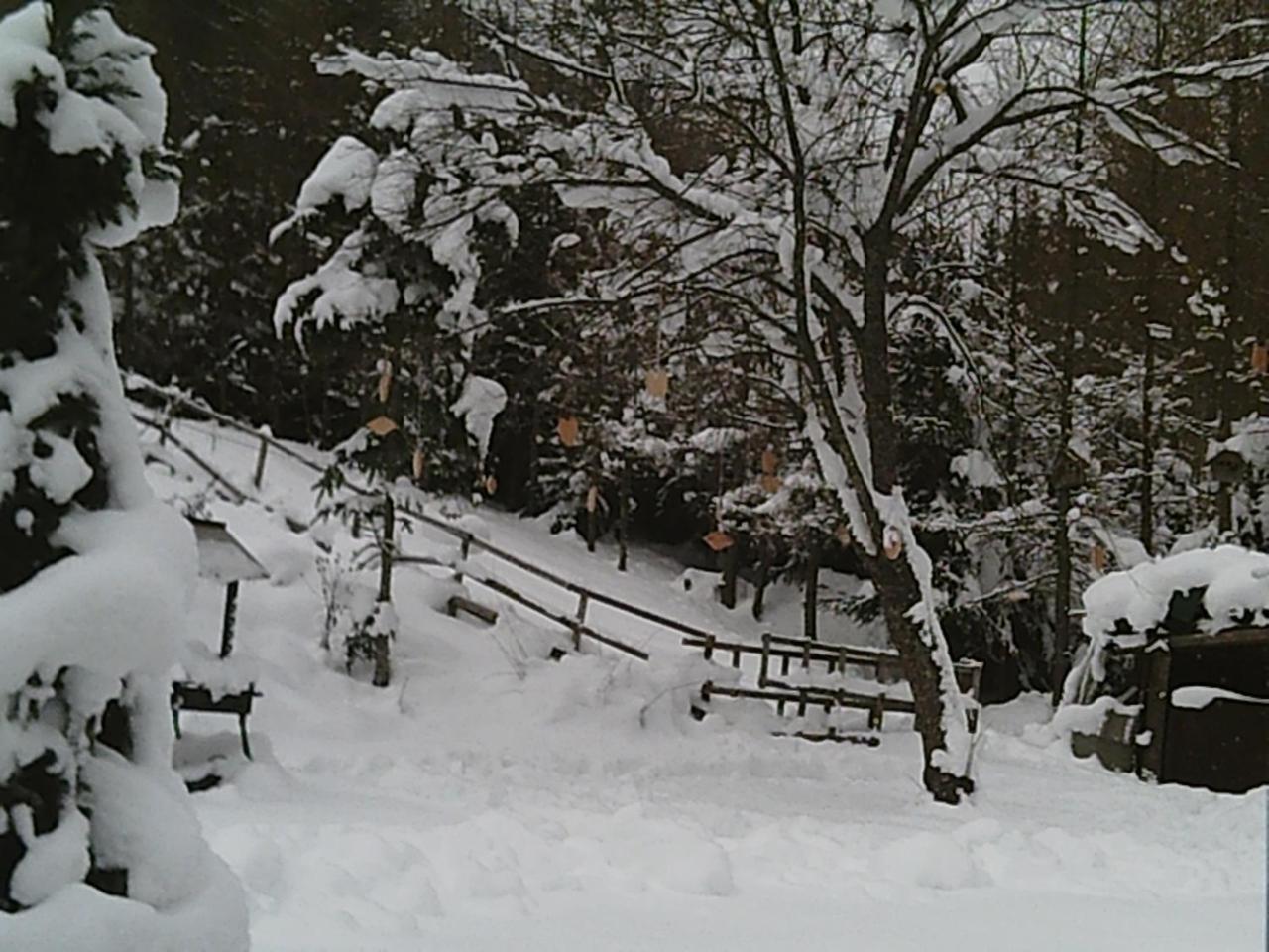 Georges Rast Villa Altaussee Buitenkant foto