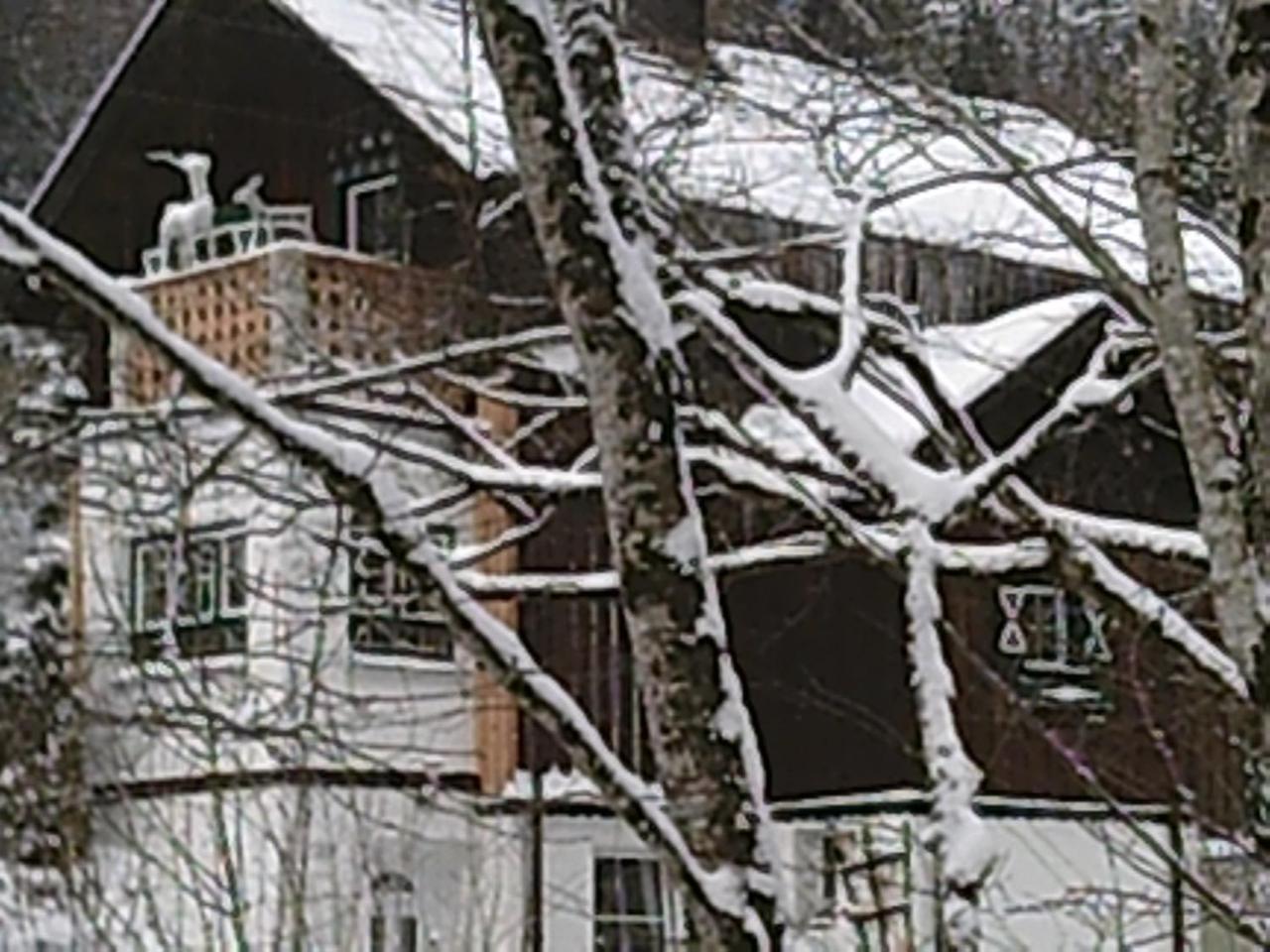 Georges Rast Villa Altaussee Buitenkant foto